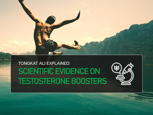 Does Tongkat Ali Increase Testosterone? Scientific Evidence Supports Tongkat Ali as a Testosterone Boosting Supplement, but there is more to it.