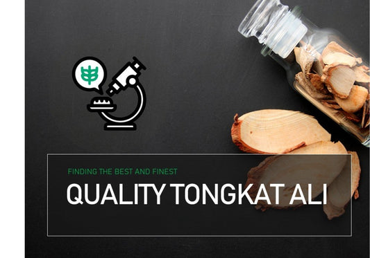 Premium Tongkat Ali Production Process – An Essential Guide for Australian Consumers